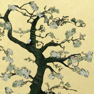 日韩毛片高清免费
