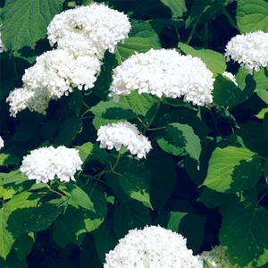 日韩毛片高清免费
